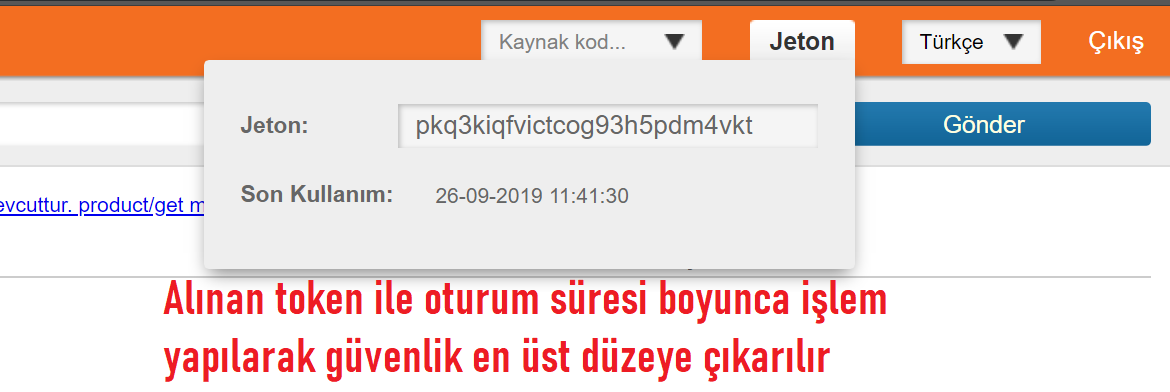 web servis